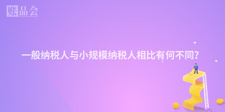 一般纳税人与小规模纳税人相比有何不同？