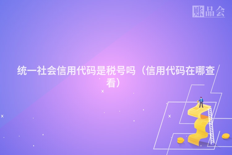 统一社会信用代码是税号吗（信用代码在哪查看）