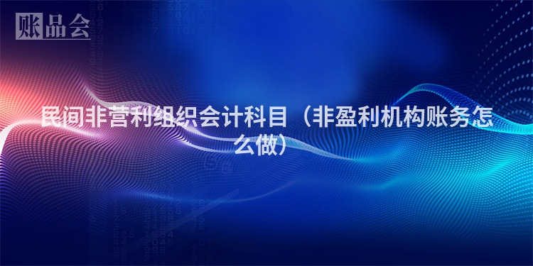 民间非营利组织会计科目（非盈利机构账务怎么做）