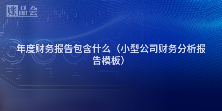 年度财务报告包含什么（小型公司财务分析报告模板）
