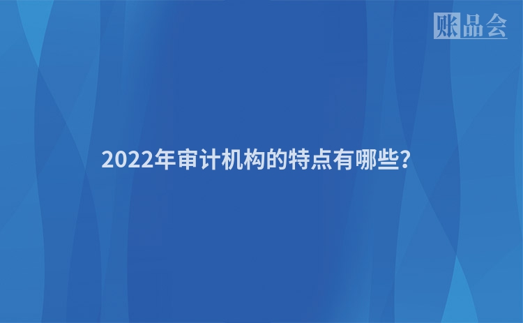 2022年审计机构的特点有哪些？
