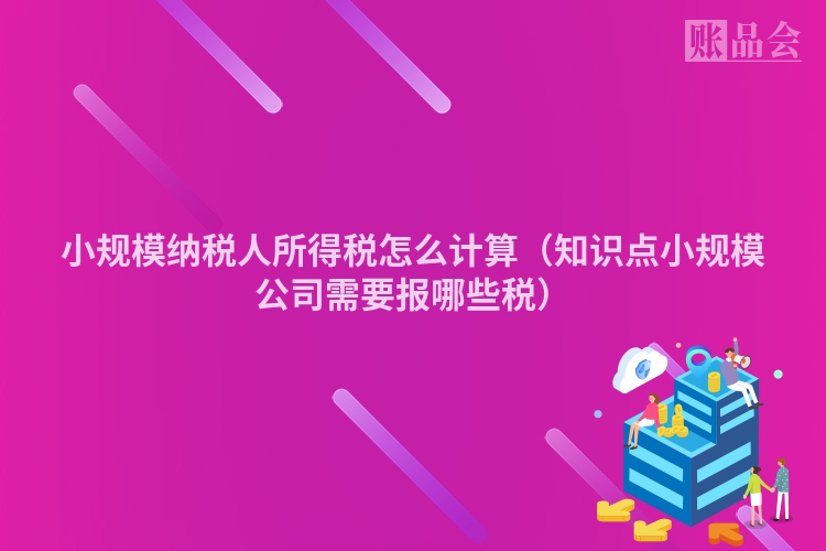 小规模纳税人所得税怎么计算(知识点小规模公司需要报哪些税)