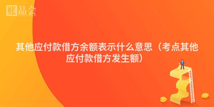 其他应付款借方余额表示什么意思（考点其他应付款借方发生额）