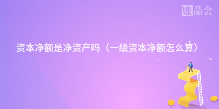 资本净额是净资产吗（一级资本净额怎么算）