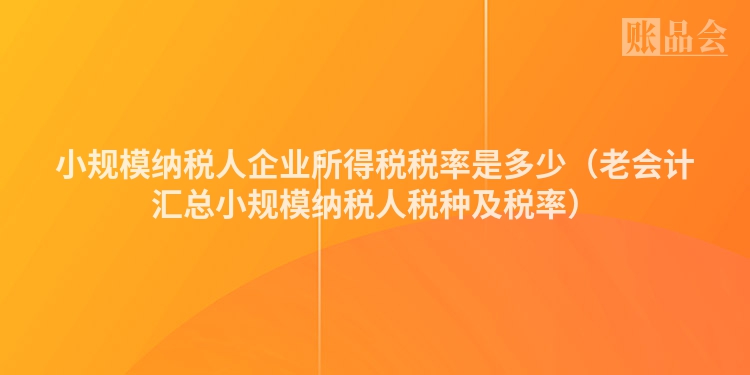 小规模纳税人企业所得税税率是多少（老会计汇总小规模纳税人税种及税率）