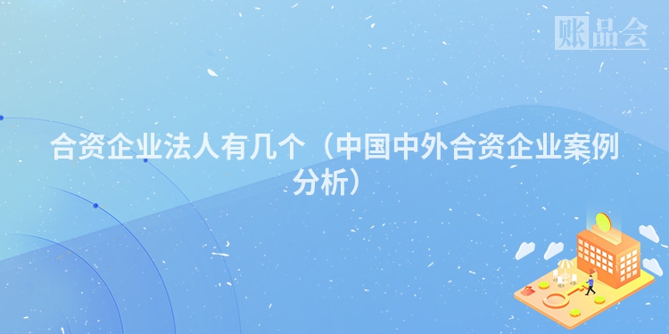 合资企业法人有几个（中国中外合资企业案例分析）