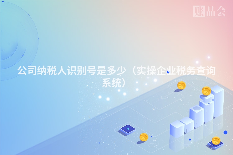 公司纳税人识别号是多少（实操企业税务查询系统）