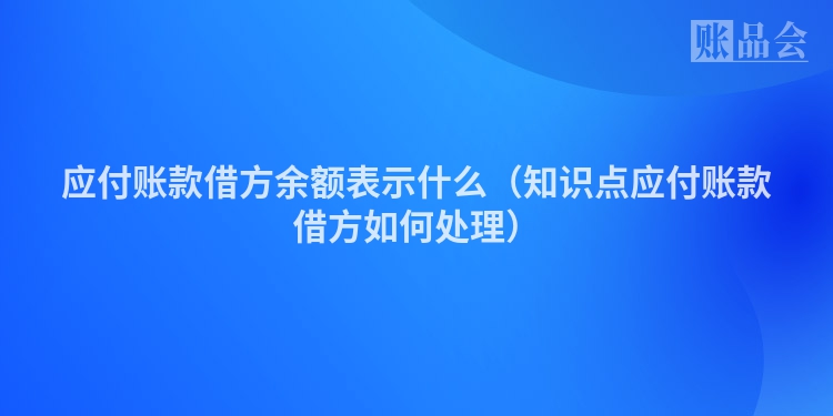 应付账款借方余额表示什么（知识点应付账款借方如何处理）