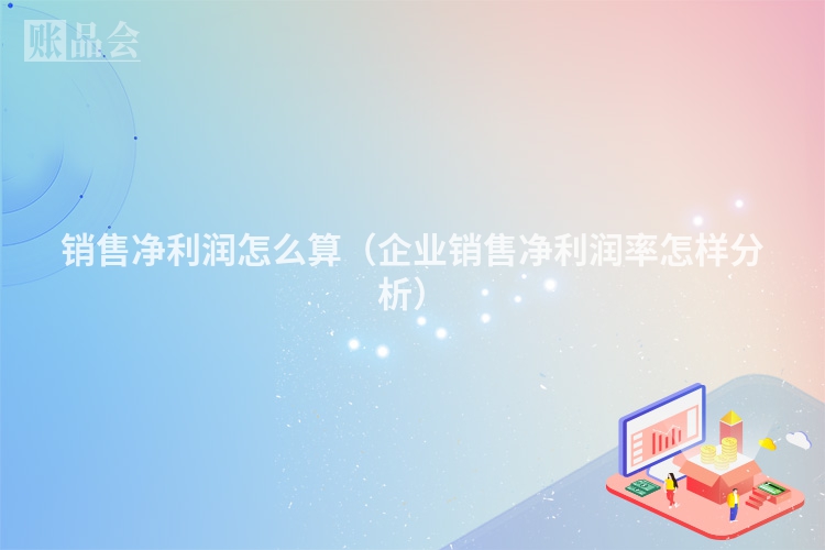 销售净利润怎么算（企业销售净利润率怎样分析）