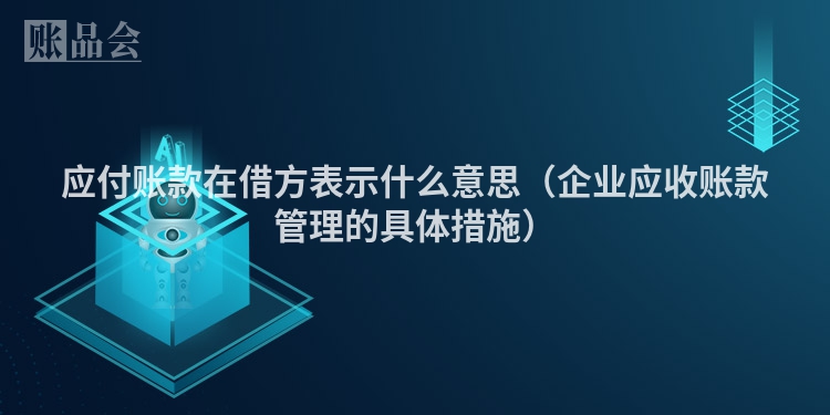 应付账款在借方表示什么意思（企业应收账款管理的具体措施）