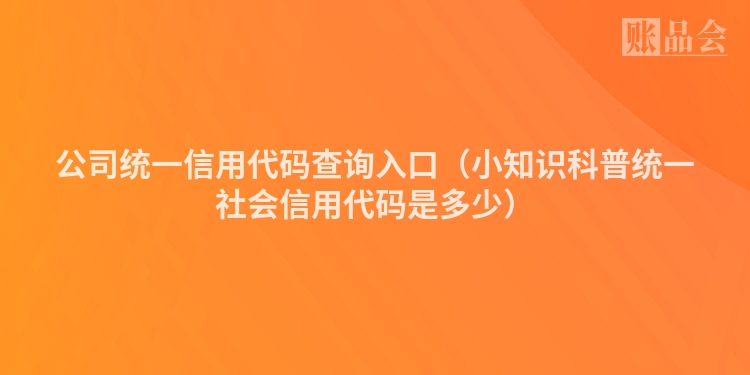公司统一信用代码查询入口（小知识科普统一社会信用代码是多少）