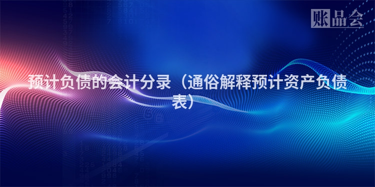 预计负债的会计分录(通俗解释预计资产负债表)