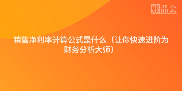 销售净利率计算公式是什么（让你快速进阶为财务分析大师）