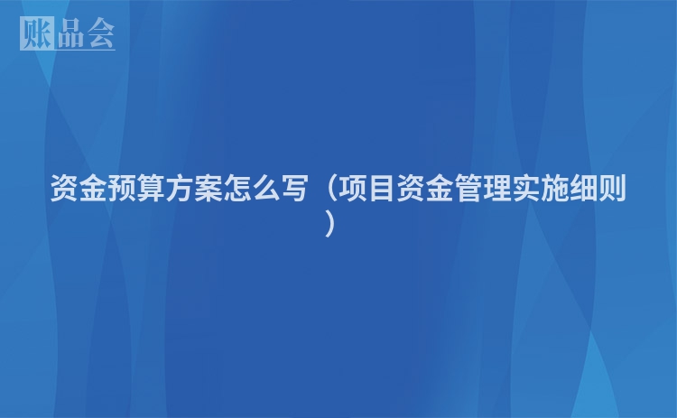 资金预算方案怎么写（项目资金管理实施细则）