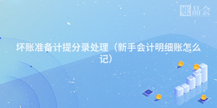 坏账准备计提分录处理（新手会计明细账怎么记）