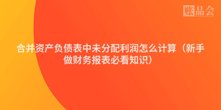 合并资产负债表中未分配利润怎么计算（新手做财务报表必看知识）