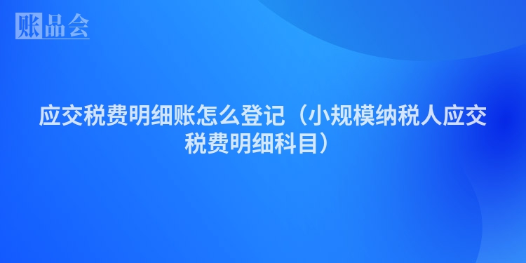 应交税费明细账怎么登记（小规模纳税人应交税费明细科目）
