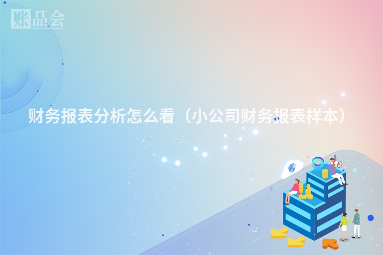 财务报表分析怎么看（小公司财务报表样本）