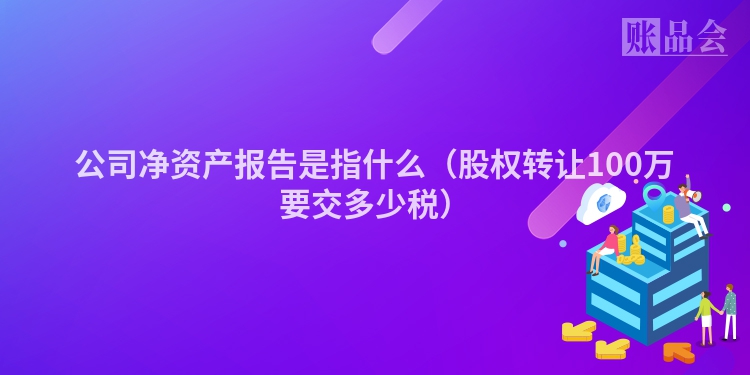 公司净资产报告是指什么（股权转让100万要交多少税）