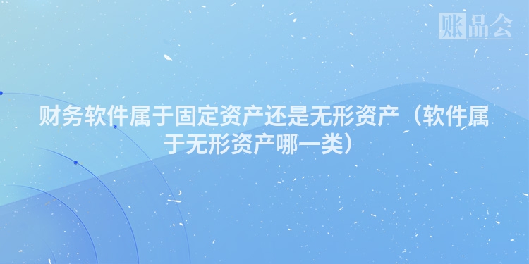 财务软件属于固定资产还是无形资产（软件属于无形资产哪一类）