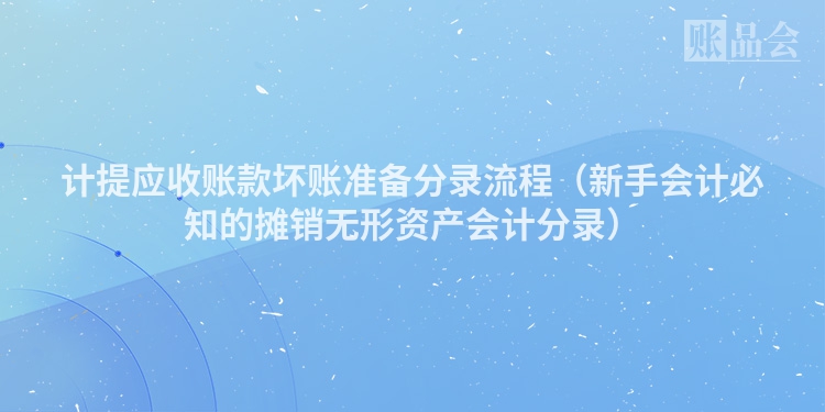 计提应收账款坏账准备分录流程（新手会计必知的摊销无形资产会计分录）
