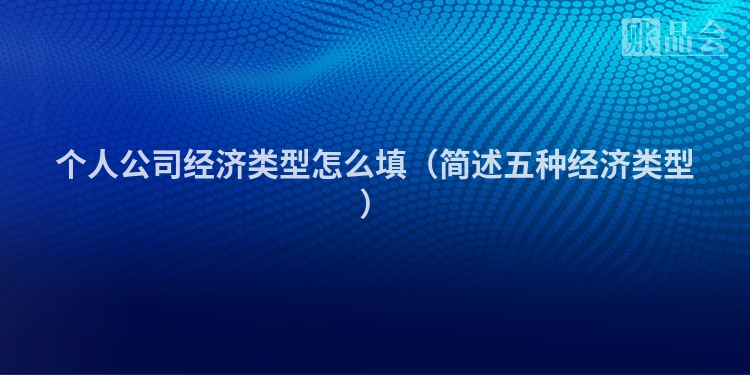 个人公司经济类型怎么填（简述五种经济类型）