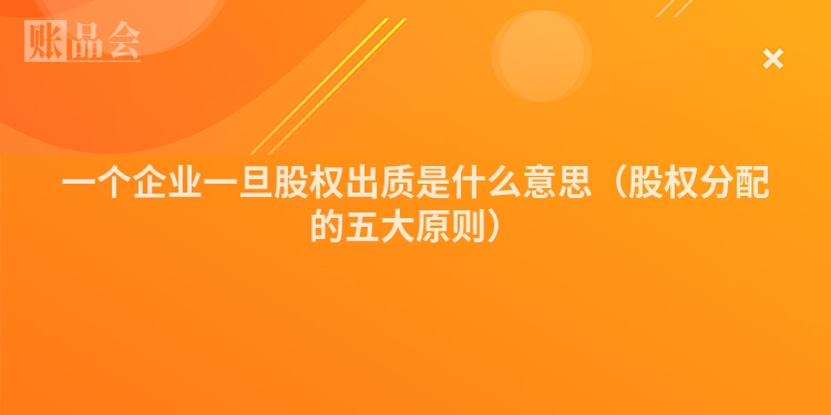 一个企业一旦股权出质是什么意思（股权分配的五大原则）