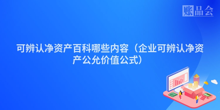可辨认净资产百科哪些内容（企业可辨认净资产公允价值公式）