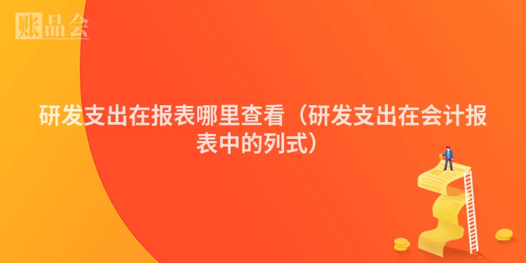 研发支出在报表哪里查看（研发支出在会计报表中的列式）