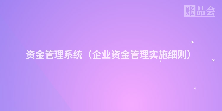 资金管理系统（企业资金管理实施细则）