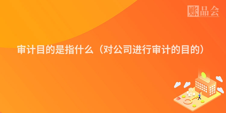 审计目的是指什么（对公司进行审计的目的）