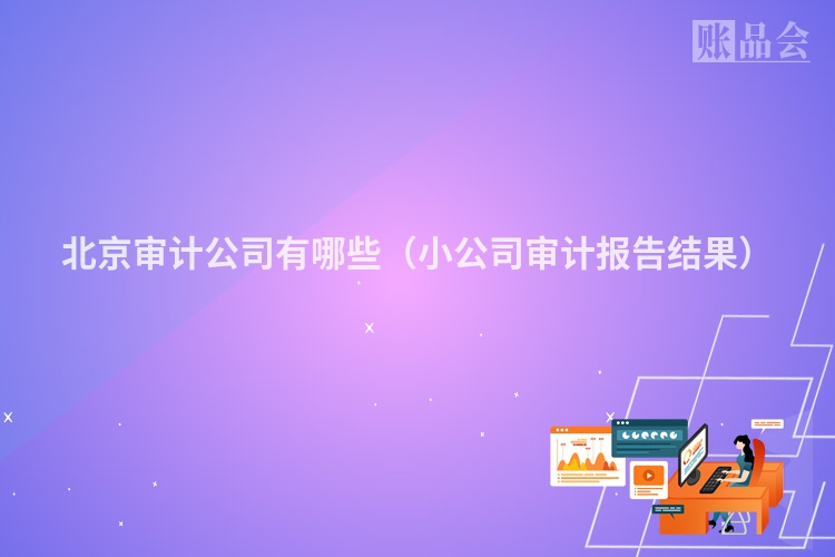 北京审计公司有哪些（小公司审计报告结果）