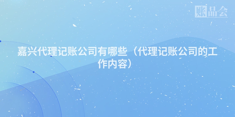 嘉兴代理记账公司有哪些（代理记账公司的工作内容）