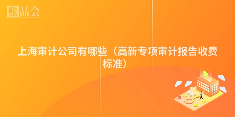 上海审计公司有哪些(高新专项审计报告收费标准)