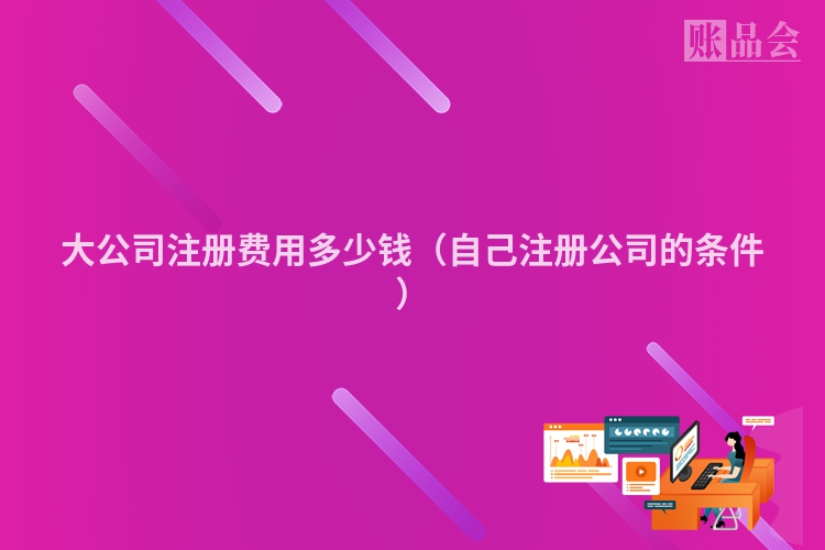 大公司注册费用多少钱（自己注册公司的条件）
