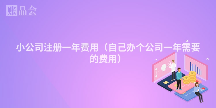小公司注册一年费用（自己办个公司一年需要的费用）