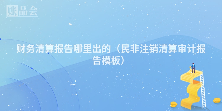财务清算报告哪里出的（民非注销清算审计报告模板）
