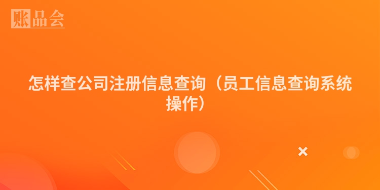怎样查公司注册信息查询（员工信息查询系统操作）