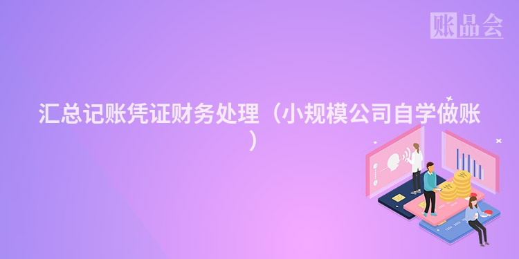 汇总记账凭证财务处理（小规模公司自学做账）