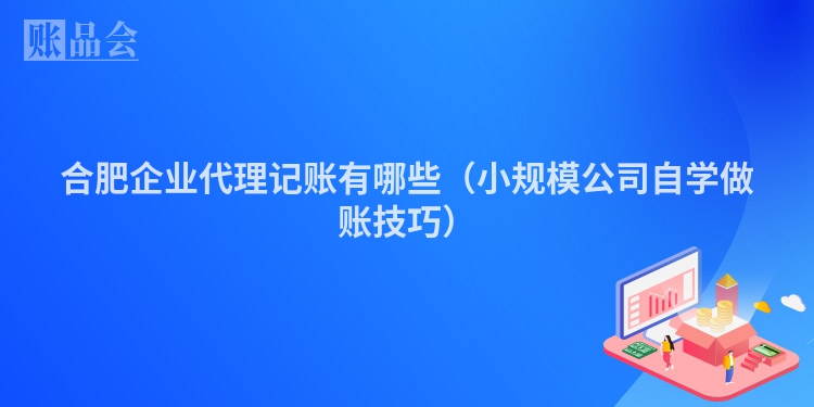 合肥企业代理记账有哪些（小规模公司自学做账技巧）