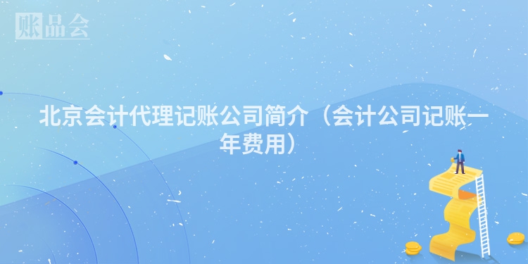 北京会计代理记账公司简介（会计公司记账一年费用）