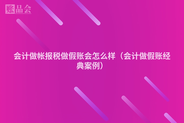 会计做帐报税做假账会怎么样（会计做假账经典案例）