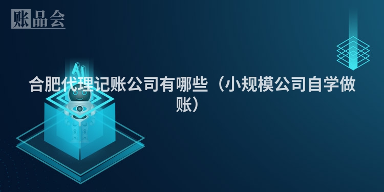 合肥代理记账公司有哪些（小规模公司自学做账）
