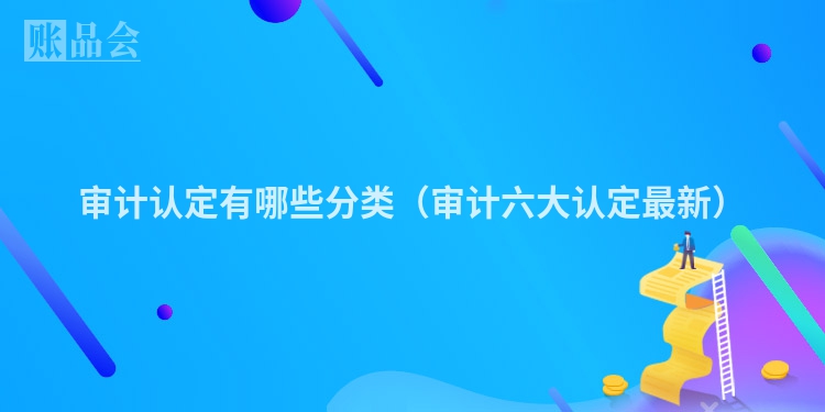 审计认定有哪些分类（审计六大认定最新）