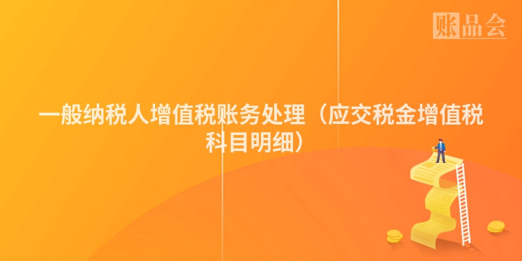 一般纳税人增值税账务处理（应交税金增值税科目明细）