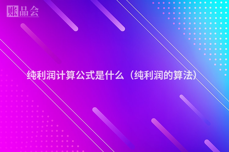 纯利润计算公式是什么（纯利润的算法）