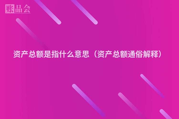 资产总额是指什么意思（资产总额通俗解释）