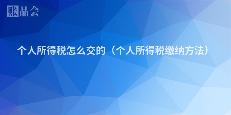 个人所得税怎么交的（个人所得税缴纳方法）