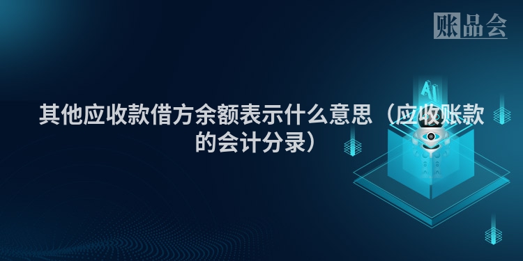 其他应收款借方余额表示什么意思（应收账款的会计分录）