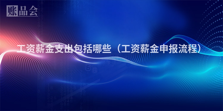 工资薪金支出包括哪些（工资薪金申报流程）